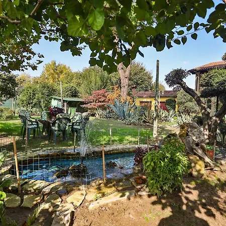 Lejlighed Casa Algisa Montegrotto Terme